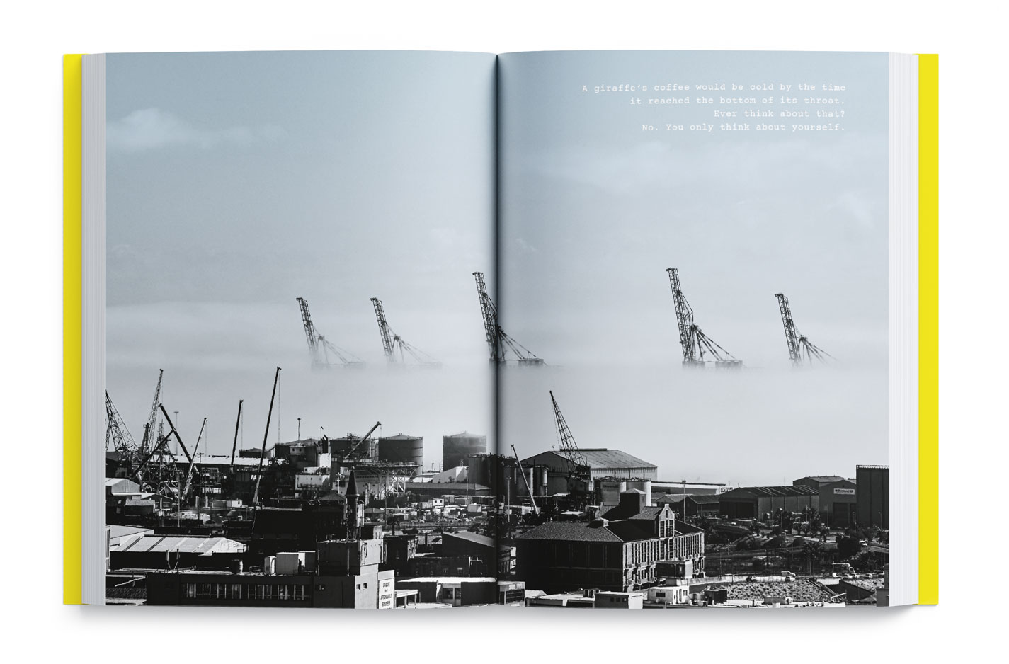 A page from "Cape Town as a State of Heart" a book by So Splendid Agency, photographs of cranes in Cape Town Harbour surrounded in mist by Hetty Zantman in Cape Town, South Africa.