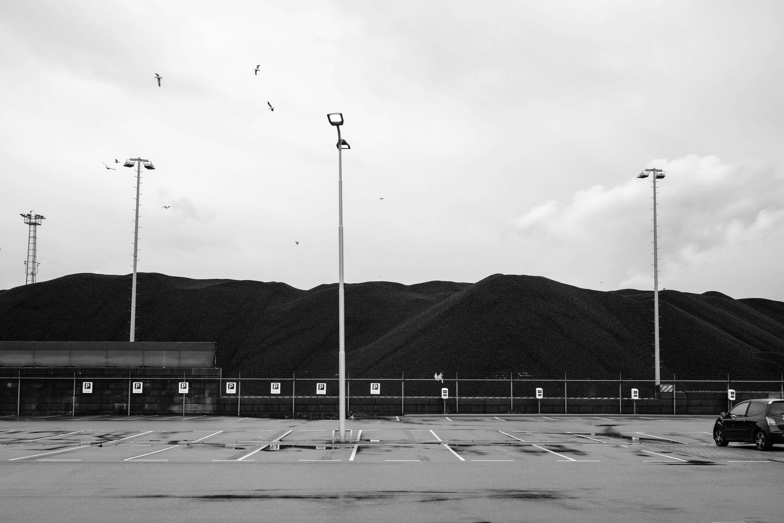 Maasvlakte coal-fired power plant and seagulls in black and white in the Port of Rotterdam, Netherlands.