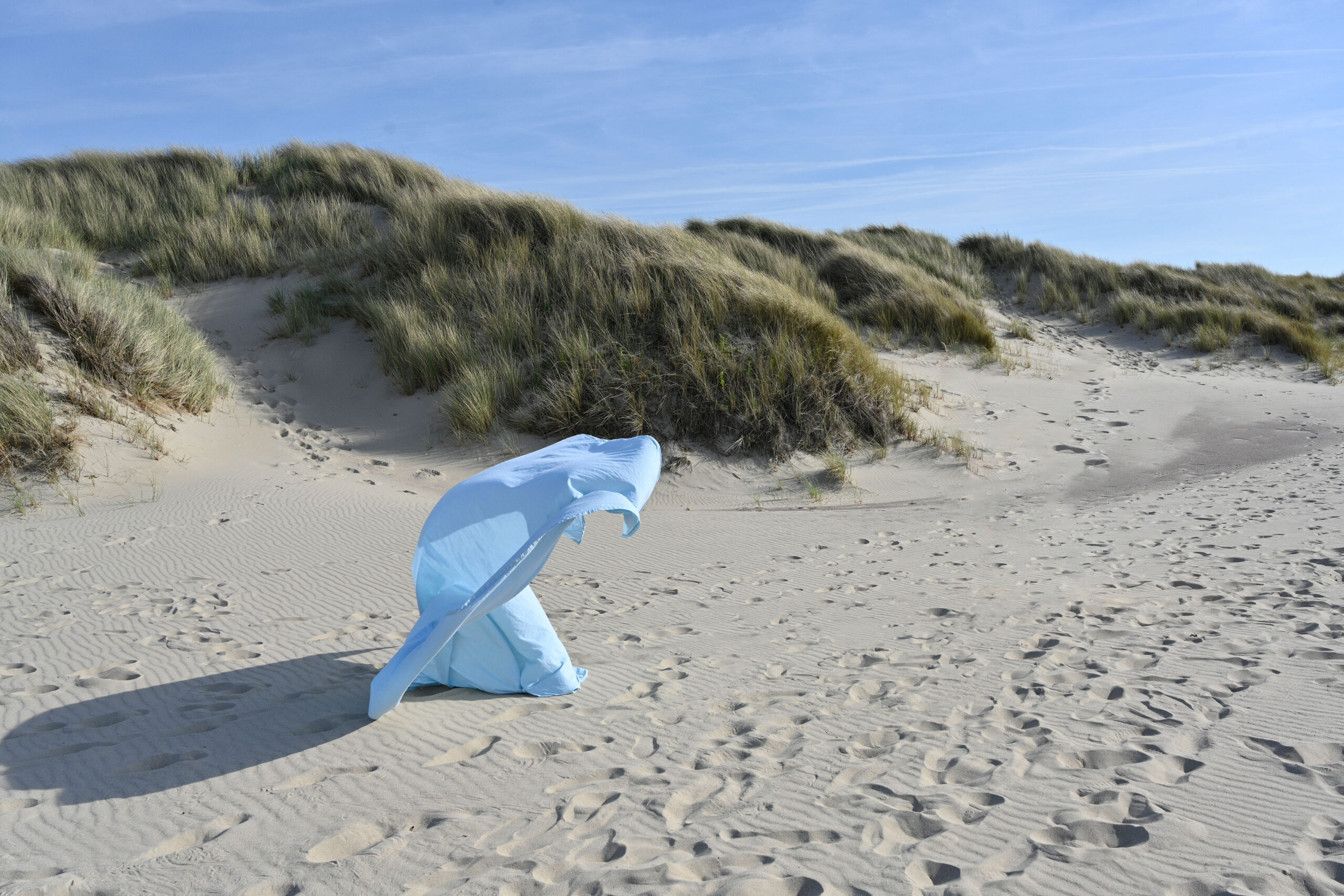 A blue backdrop dancing in the wind on a summer's day in Bergen aan Zee, a beautiful village along the North Sea coast in the Netherlands. Bergen's white sandy beach with high grassy dunes stretches for miles.