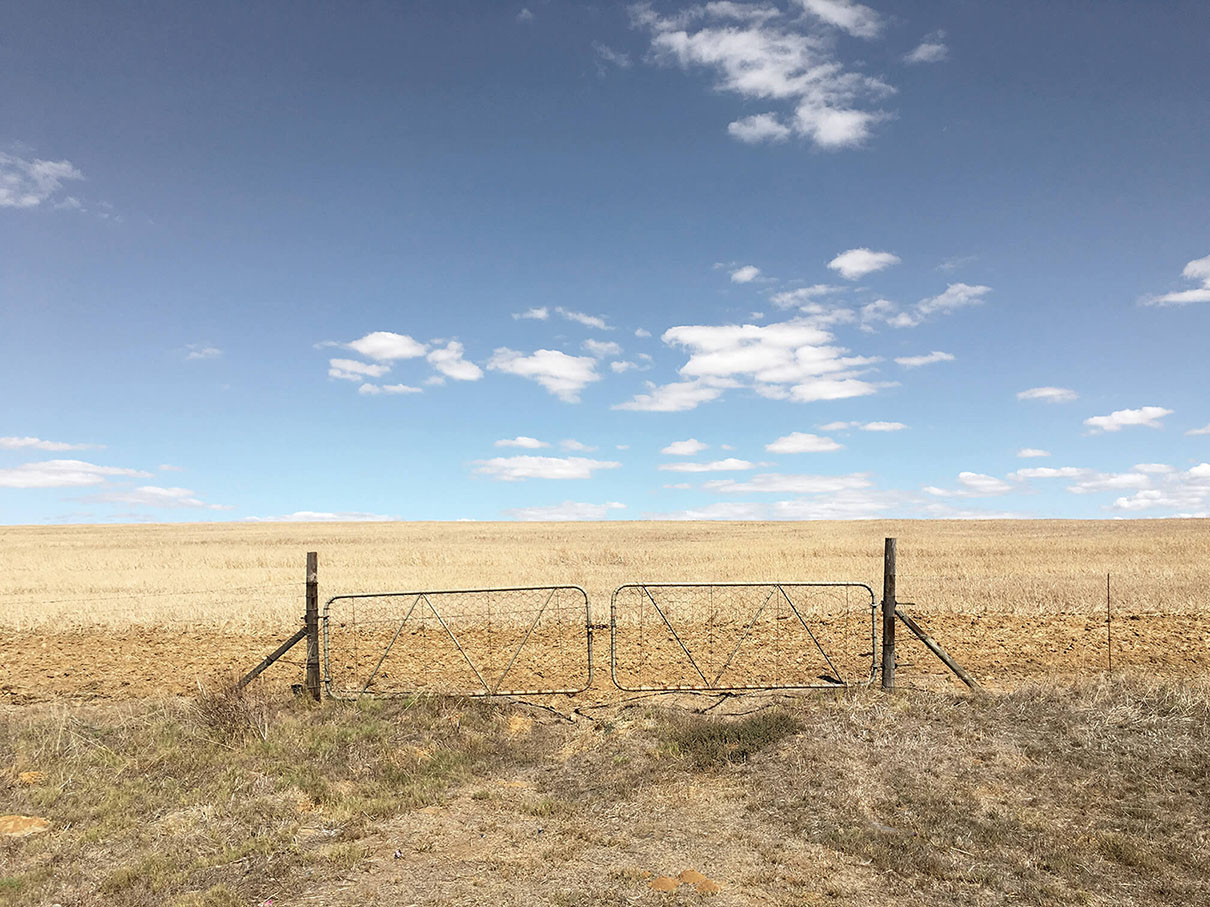 A solitary locked gate in a lonely wheat field in Riebeek Kasteel in the Western Cape, South Africa.